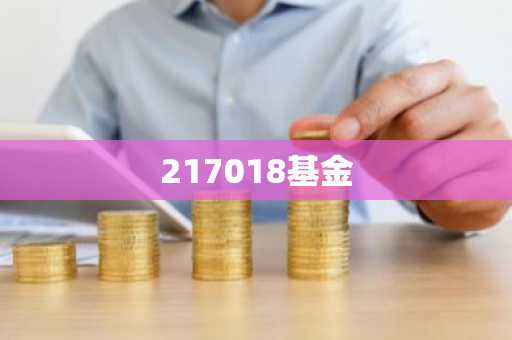 217018基金