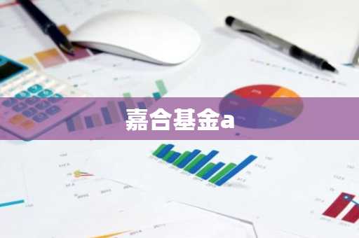 嘉合基金a