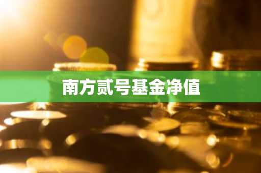 南方贰号基金净值