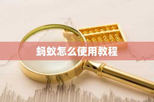 蚂蚁怎么使用教程