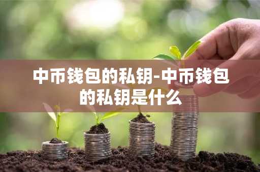 中币钱包的私钥-中币钱包的私钥是什么