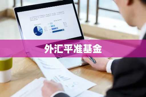 外汇平准基金