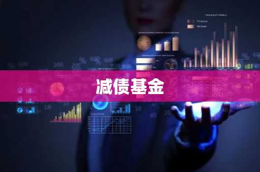 减债基金