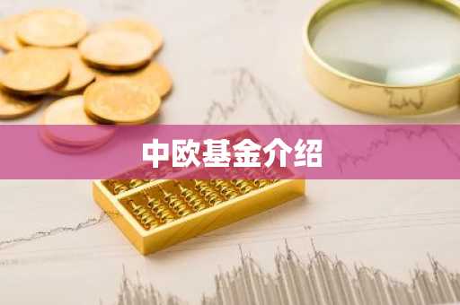 中欧基金介绍