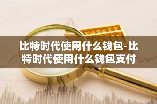 比特时代使用什么钱包-比特时代使用什么钱包支付