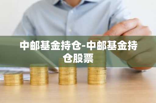 中邮基金持仓-中邮基金持仓股票