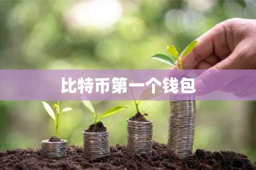 比特币第一个钱包