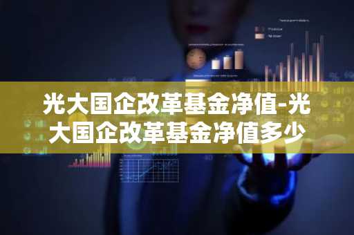 光大国企改革基金净值-光大国企改革基金净值多少