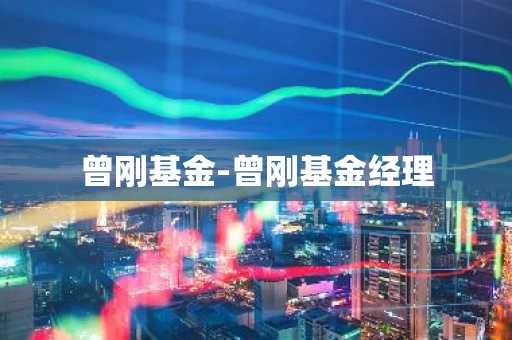 曾刚基金-曾刚基金经理