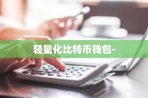 轻量化比特币钱包-