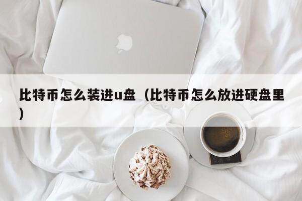 比特币怎么装进u盘（比特币怎么放进硬盘里）