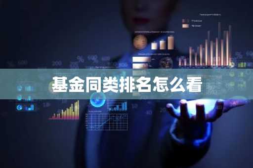 基金同类排名怎么看