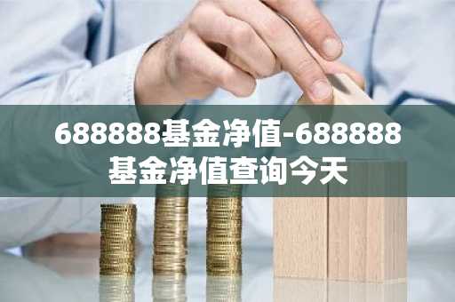 688888基金净值-688888基金净值查询今天