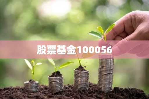 股票基金100056