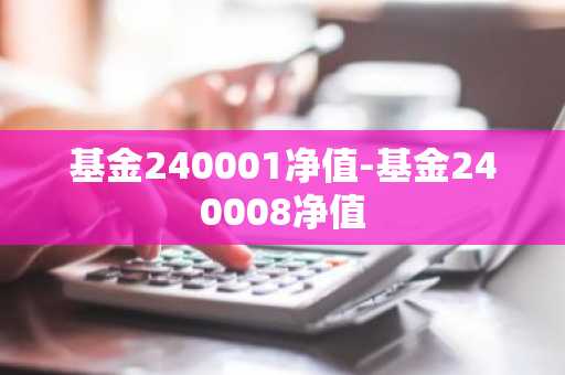 基金240001净值-基金240008净值