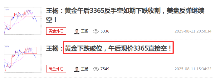 王杨：黄金反手空两连胜，美盘反弹弱势继续空！