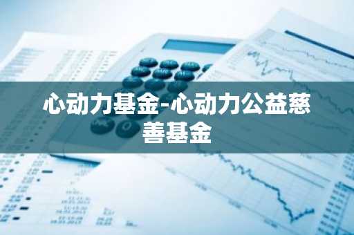 心动力基金-心动力公益慈善基金
