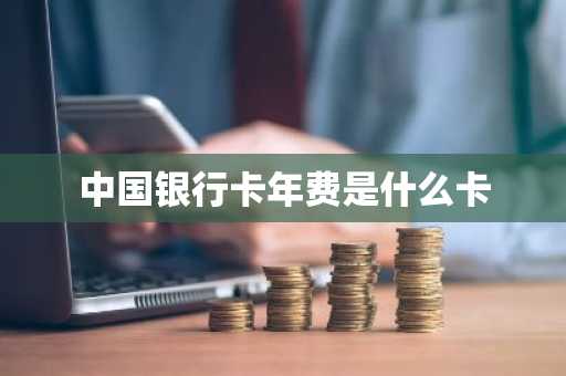 中国银行卡年费是什么卡