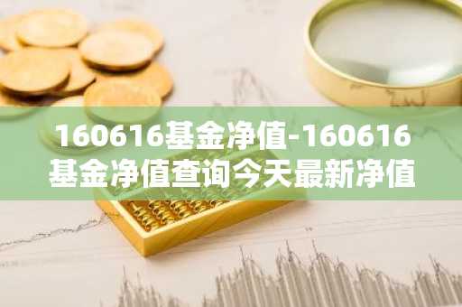 160616基金净值-160616基金净值查询今天最新净值