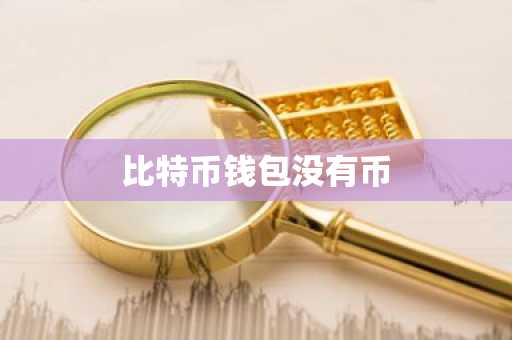 比特币钱包没有币