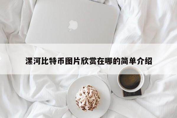 漯河比特币图片欣赏在哪的简单介绍