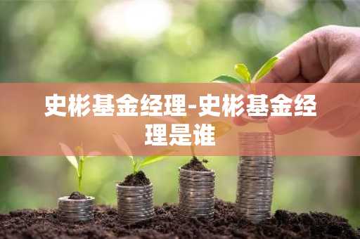 史彬基金经理-史彬基金经理是谁