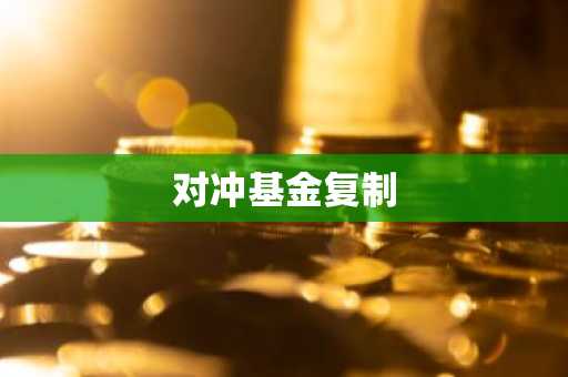 对冲基金复制
