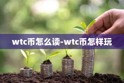 wtc币怎么读-wtc币怎样玩