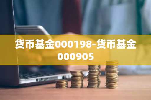 货币基金000198-货币基金000905