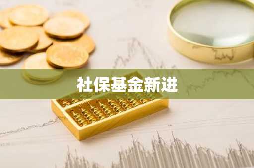 社保基金新进