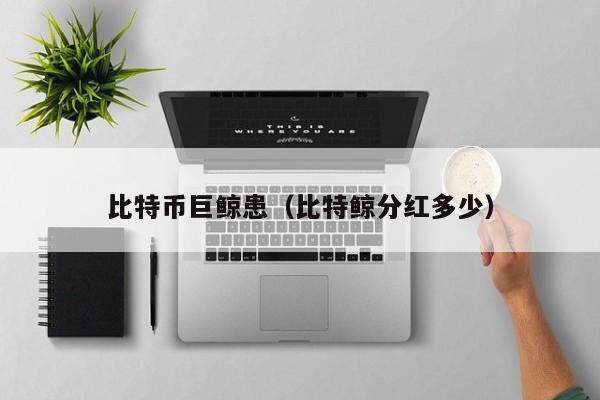 比特币巨鲸患（比特鲸分红多少）