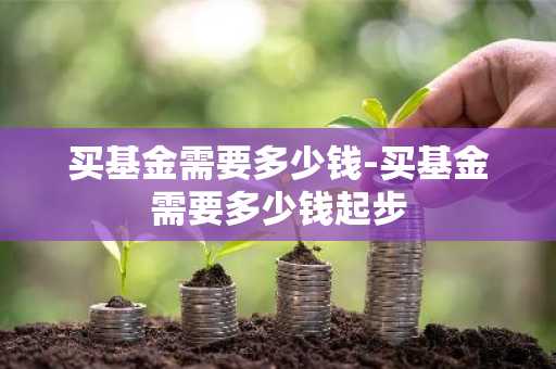 买基金需要多少钱-买基金需要多少钱起步