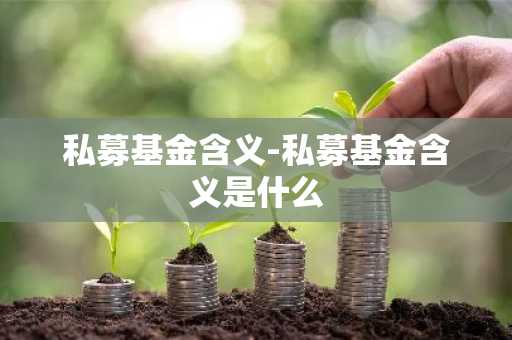 私募基金含义-私募基金含义是什么