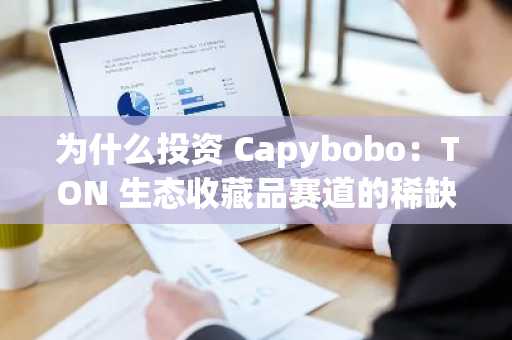 为什么投资 Capybobo：TON 生态收藏品赛道的稀缺性机会