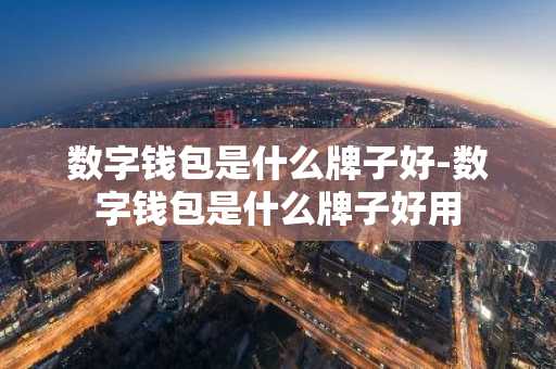数字钱包是什么牌子好-数字钱包是什么牌子好用