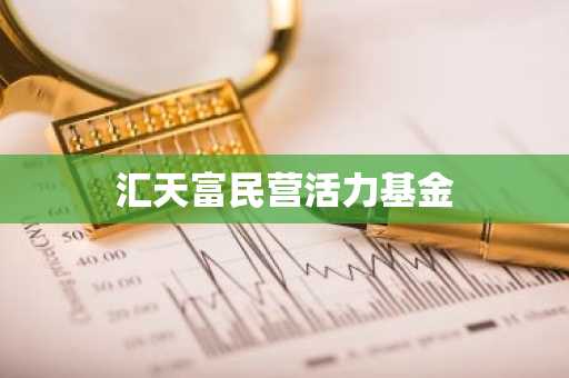 汇天富民营活力基金