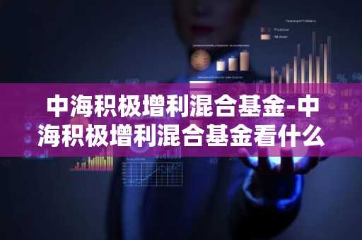中海积极增利混合基金-中海积极增利混合基金看什么指标