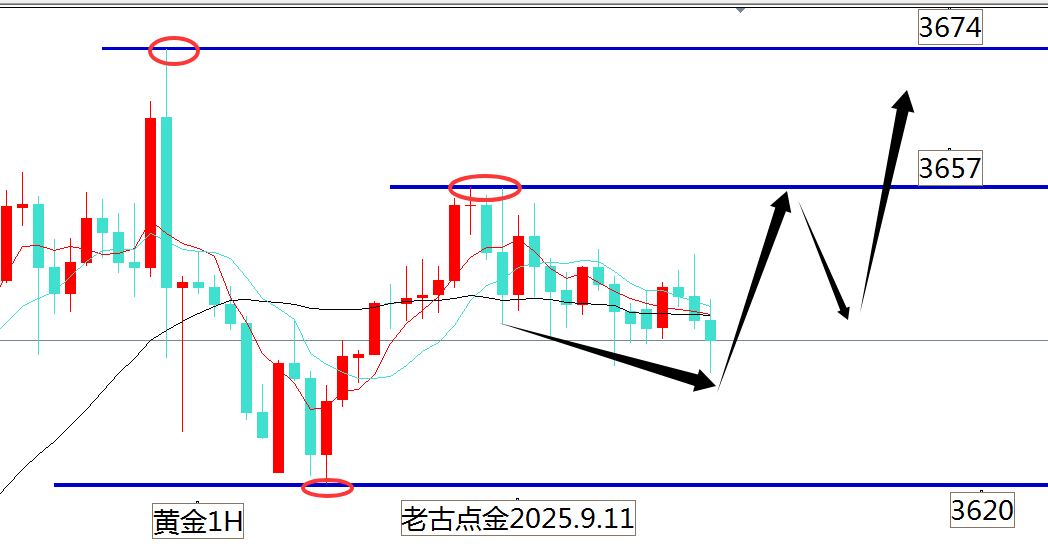 老古点金：黄金3655和3646两次空吃肉日内震荡等CPI