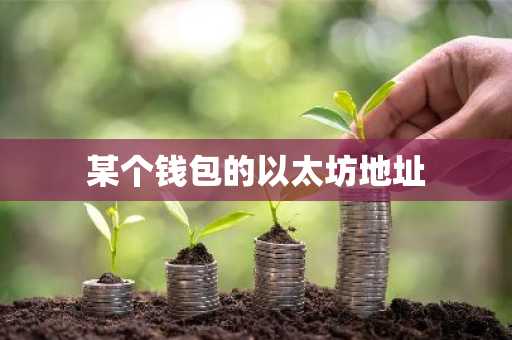 某个钱包的以太坊地址