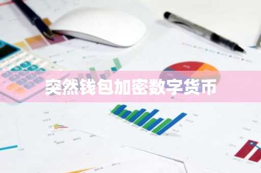 突然钱包加密数字货币