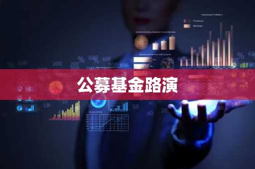 公募基金路演