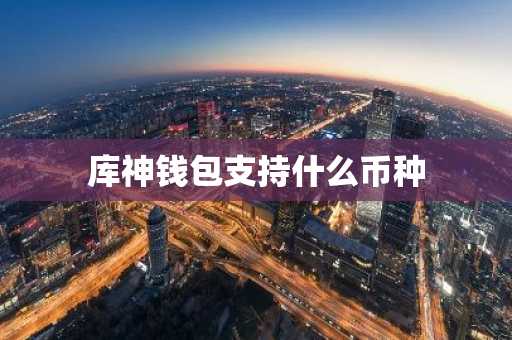 库神钱包支持什么币种