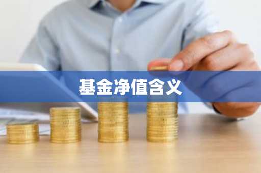 基金净值含义