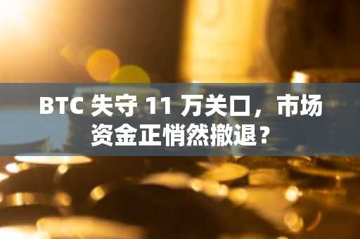 BTC 失守 11 万关口，市场资金正悄然撤退？
