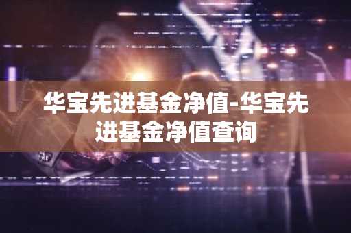 华宝先进基金净值-华宝先进基金净值查询