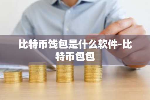 比特币饯包是什么软件-比特币包包