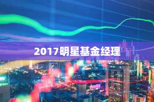 2017明星基金经理