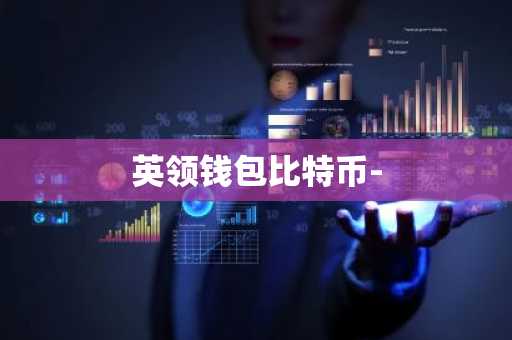 英领钱包比特币-