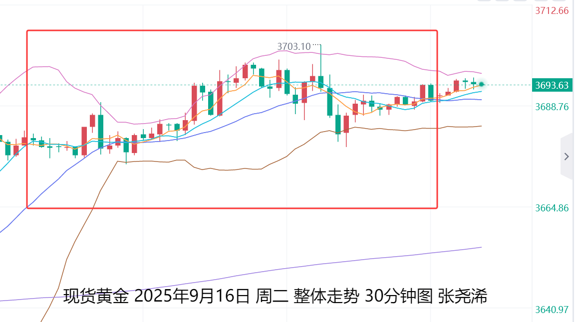 张尧浠：美联储降息会议来袭、金价前景仍是多头机会　　　　