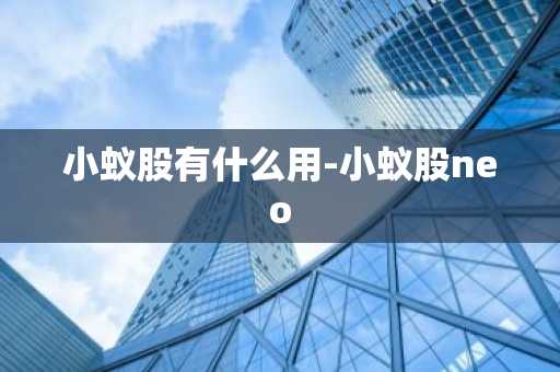 小蚁股有什么用-小蚁股neo